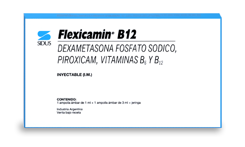 FLEXICAMIN B 12 INYECTABLE